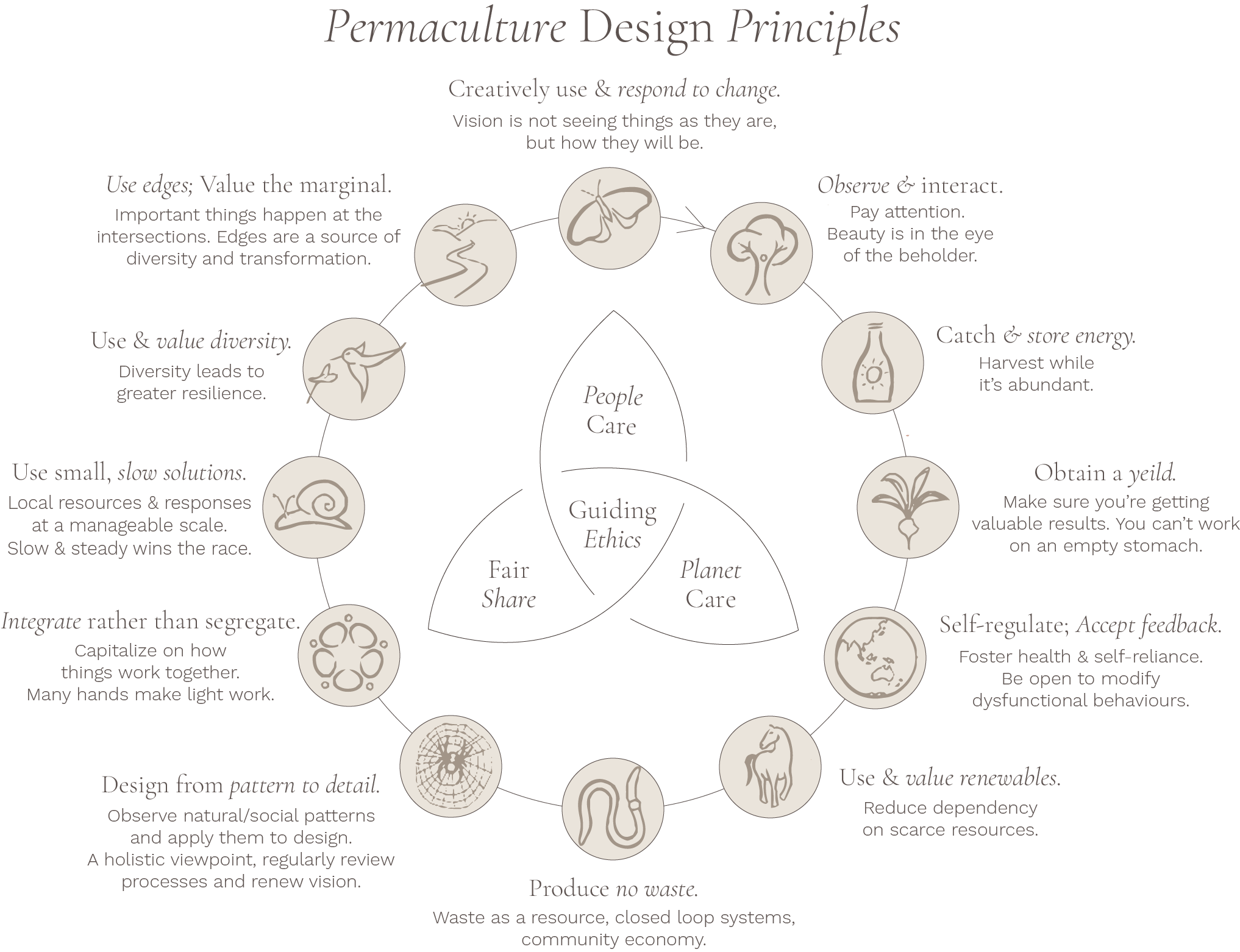 the-permaculture-principles