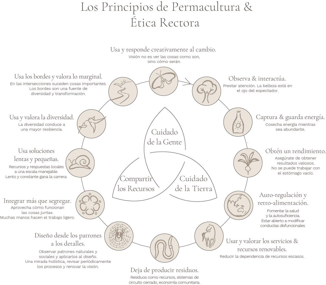 the-permaculture-principles